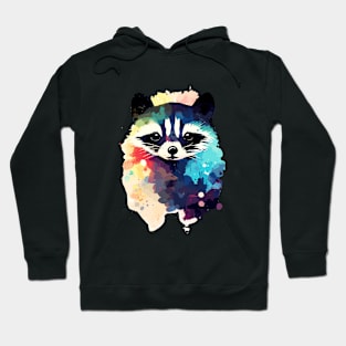 Raccoon Wild Nature Animal Colors Paint Hoodie